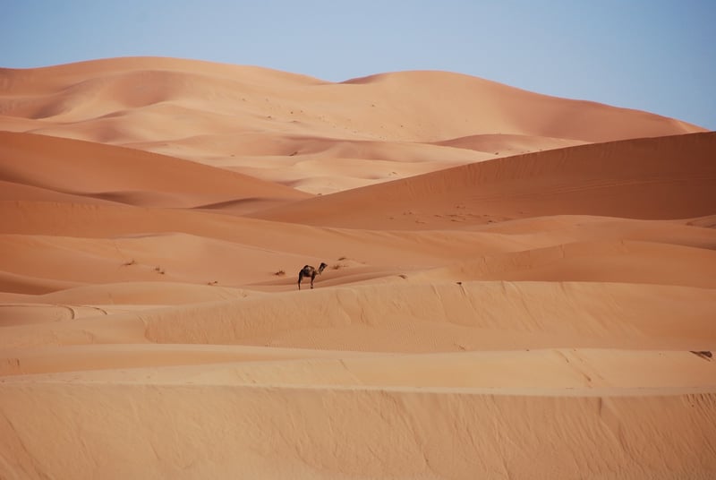 Sahara Desert, Morocco